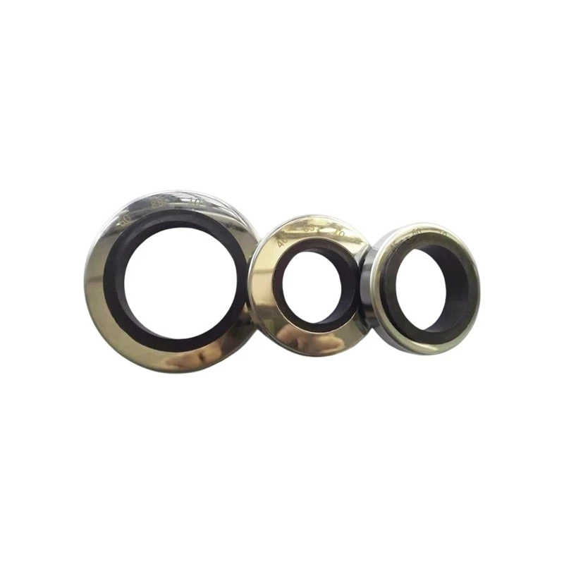 Double Lip Rotary PTFE Shaft Seal 45 60 10 mm-3