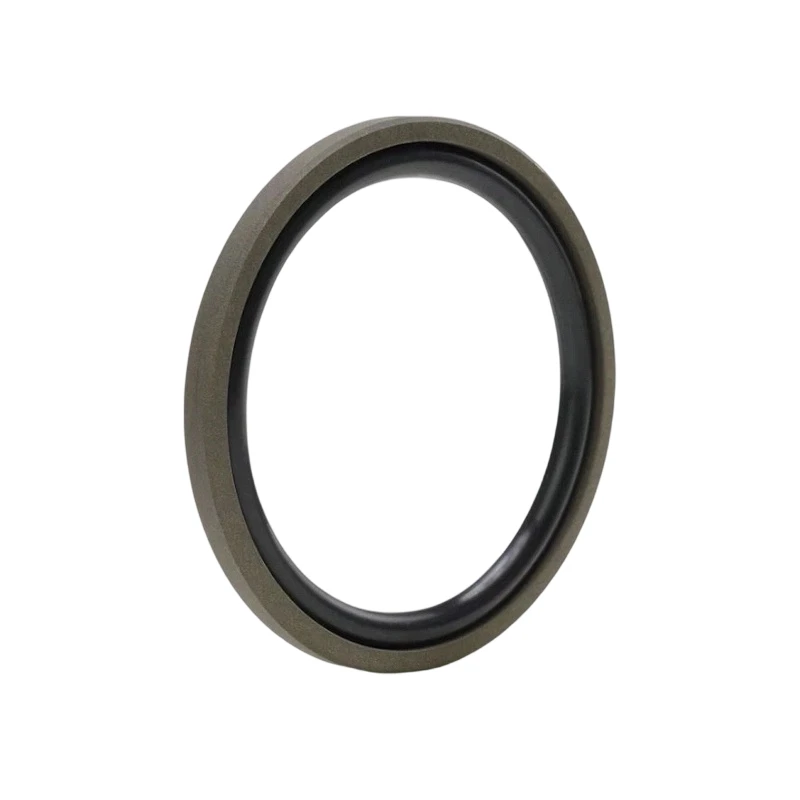 PTFE Glyd Piston Seal-2 PTFE Glyd Piston Seal-2