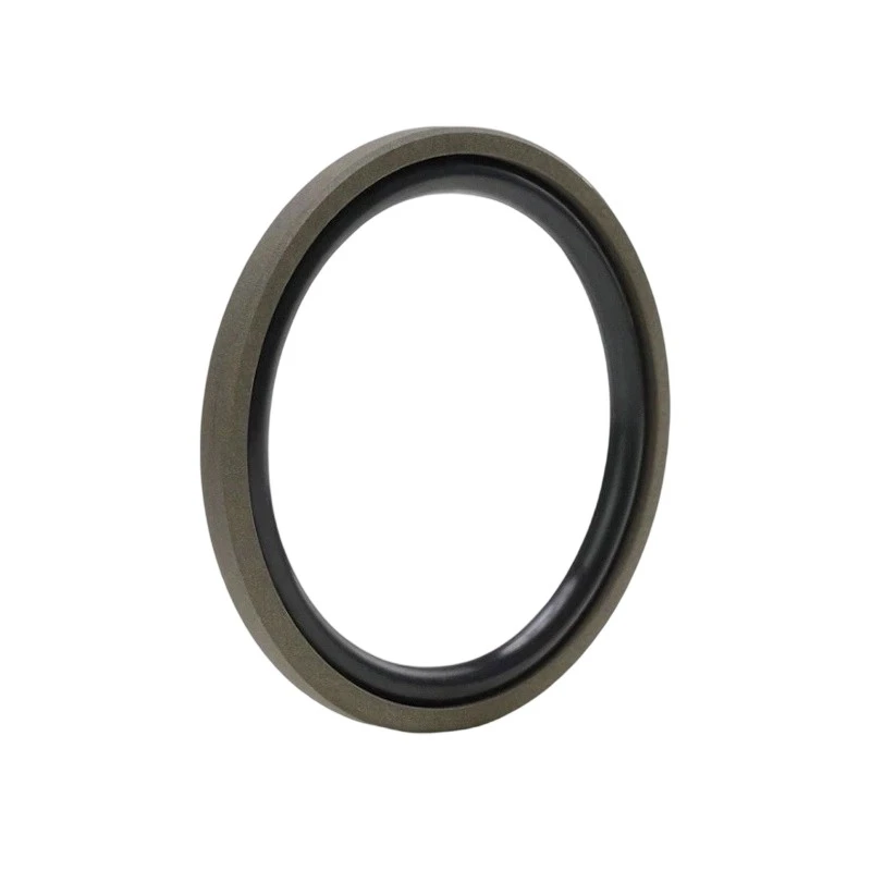 PTFE Glyd Piston Seal-2