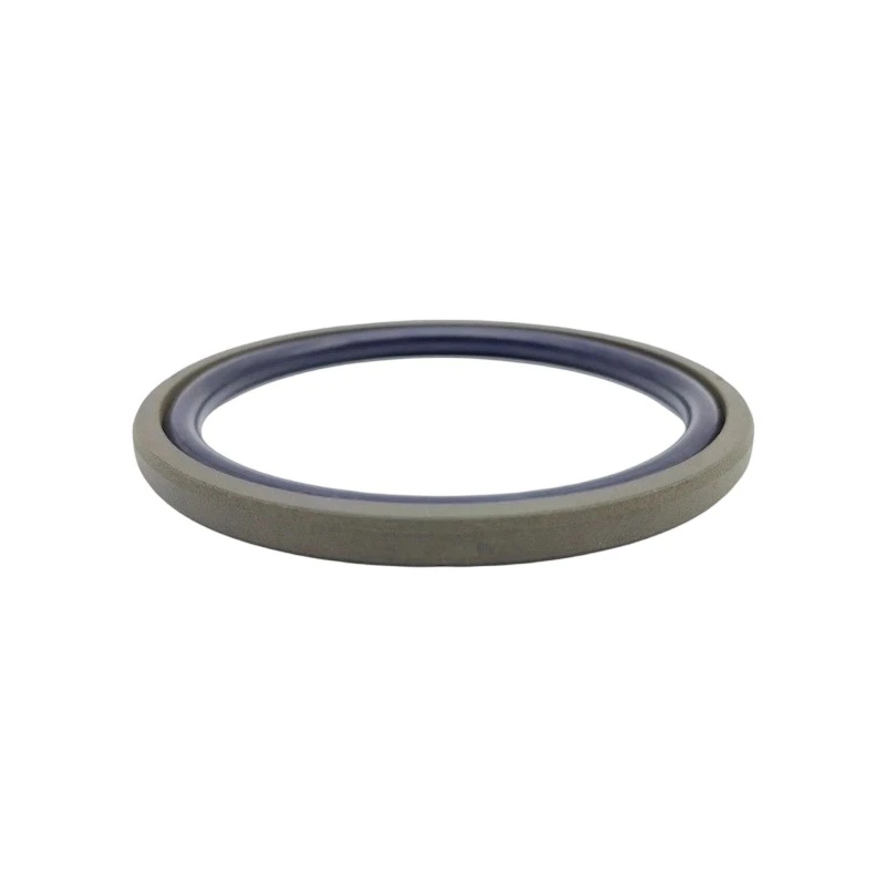 PTFE Glyd Piston Seal-4