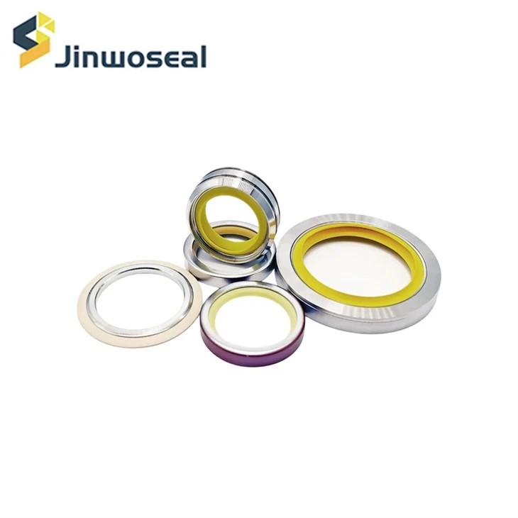 PTFE Oil Seal Rotary Shaft Seal With Stainless Steel Housing