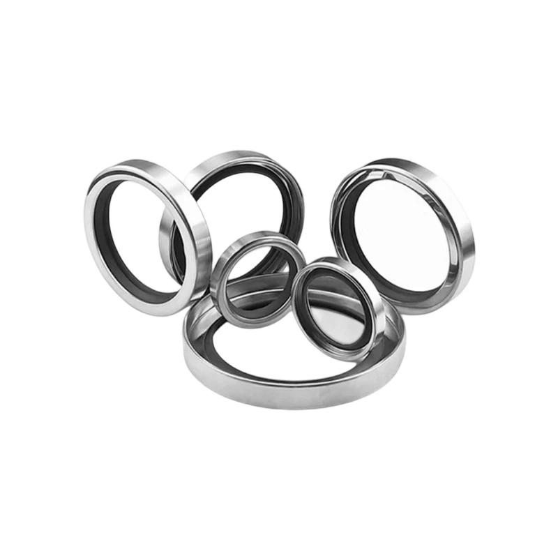 Stainless Steel Case PTFE Shaft Seal